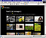 videocorso Creare una pagina web con le tue foto in 1 minuto.