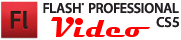 videocorso Video Flash CS5