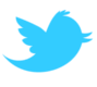 videocorso Usare Twitter al 100%